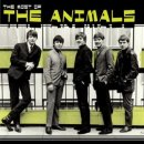 Inside Looking Out - The Animals