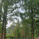 예산축산업협동조합 | 라인 캠핑빌리지, 3일만에 재방문한 이지캠핑 청결문제 솔직후기. 이지캠핑 D사이트 (체험존, 렌탈존)