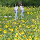 부경대학교(대연캠퍼스) 이미지