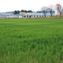 신북농장 이미지