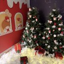 동광로7길 12-6 | 서울 성수동 12월 팝업 산리오 캐릭터즈 크리스마스 하우스 방문 후기 굿즈 / 포토존