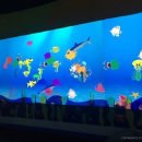 뒤죽박죽 고무줄 놀이터 이미지