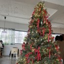 대머리근린공원 | 거북메론빵과 거북쿠키가 있는 귀여운 동물 모양 베이커리카페🐢, 주차정보, 내돈내산 솔직 후기