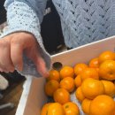 초대박PC | 일상을 나누는 이야기를 하는 이야기를 나눠보는 이야기