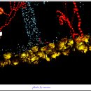 서울시청 서소문별관 이미지