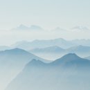 올리벳정원 네이버블로그