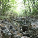 판상농장 이미지