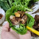 김진순농장 네이버블로그