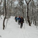 2월19일 모락산 백운산 광교산 신청 이미지