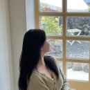 제주시절 이미지