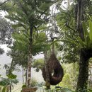 커피앤스윙 이미지