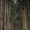 소낭 게스트하우스 이미지