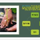 황금종합인테리어 - 부평구 장제로 199 | 황금종합인테리어