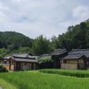 열녀권씨정려 이미지