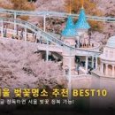 서울 벚꽃 명소 인생샷 스팟 5 성수동 서울숲 벚꽃 만개(+주차) 이미지