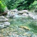 치악산또아리마을 | [블챌][블로그][체크인챌린지2][첫번째] 금대계곡 /또아리마을