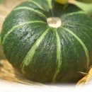 언니네 밥상 이미지