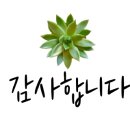 신갈초등학교(병설) 이미지