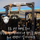 68 | 무료 PT 체험 후기... 용현동 헬스장에서 내 현실을 직면 but 번번이 살아나지요
