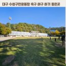 수성구민운동장 | 대구 수성구민운동장 축구 야구 하기 좋은곳