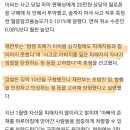 음주.마약.역주행으로 사망사고...엄벌 징역 5년 이미지