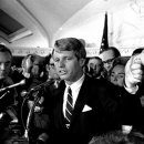 케네디로즈 이미지