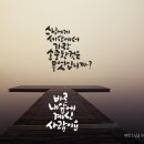 디자인 푸름