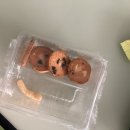 피시랑 놀자 이미지