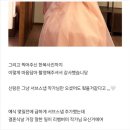 피드미(Feed Me) | 서울 본식 스냅 '리멤버미스냅' 작가 일상 #22 (웨딩 스냅 가격 인상과 최대 할인가 비교)