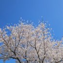 포항시북구73 | [SK·KT·LG 스마트폰] 포항 양덕 휴대폰성지/갤럭시 S25 엣지 구매 후기