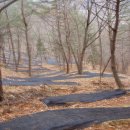 새들농장 이미지