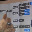 치킨집