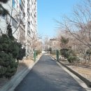 미주공인중개사사무소 이미지