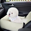 시소 펫 이미지