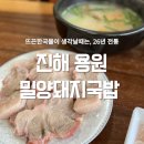 참밀양돼지국밥 | 용원 참밀양돼지국밥 26년째 이어지는 용원맛집 아침식사가능 수백정식