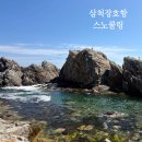 9살 아이랑 삼척 장호항 스노쿨링 위치 가격 시간 주차 총정리