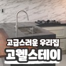 고웰 스테이 이미지