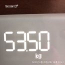 11일차[56.3➡️51kg] 이미지