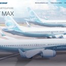 보잉이 737 MAX 풍동 테스트를... 이미지