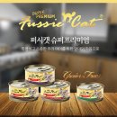 프리미엄캣 이미지