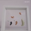 샤론보청기 이미지