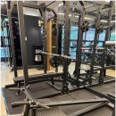 더 보스짐 이미지