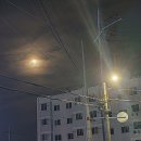 지에스25구미공단중앙점 이미지