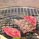 근본화로 이미지