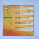 놀러와 게임랜드 | [각종장소리뷰] 해남공룡박물관 - 아직 공룡은 무서워요🦖🦕
