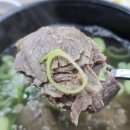 유가네한우곰탕하나로마트 - 24458 | 분당오리역맛집 점심 든든했던 유가네한우곰탕 하나로마트성남점