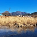 팔거천(좌안) 티스토리