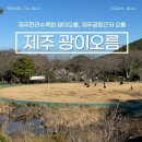 한라오름 | 제주 한라수목원 광이 오름 제주공항 근처 오름 추천