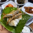 소나무정 이미지