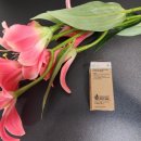 자연으로 | 62랩 유기농 비건 티트리 오일 10ml 사용 후기: 순수한 자연으로 피부를 진정시키다